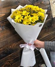Букет цветов из:  Хризантемы #REPLACE_PRED# Куйбышеве