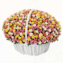 Премиум букет из: Розы в Куйбышеве