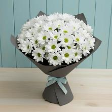 Букет цветов из:  Хризантемы #REPLACE_PRED# Куйбышеве