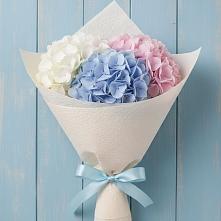 Букет цветов из:  Гортензия в Куйбышеве