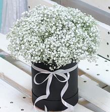 Цветочная композиция из Гипсофила в шляпной коробке в Куйбышеве