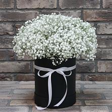 Цветочная композиция из Гипсофила в шляпной коробке в Куйбышеве