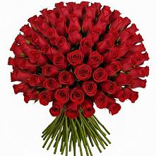 Букет Красные розы Чери Лав в Куйбышеве