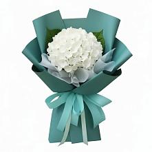 Букет цветов из:  Гортензия в Куйбышеве